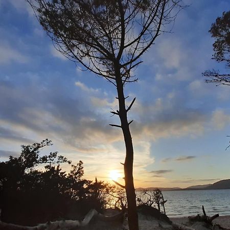 B&B Rambla De Alguer Εξωτερικό φωτογραφία